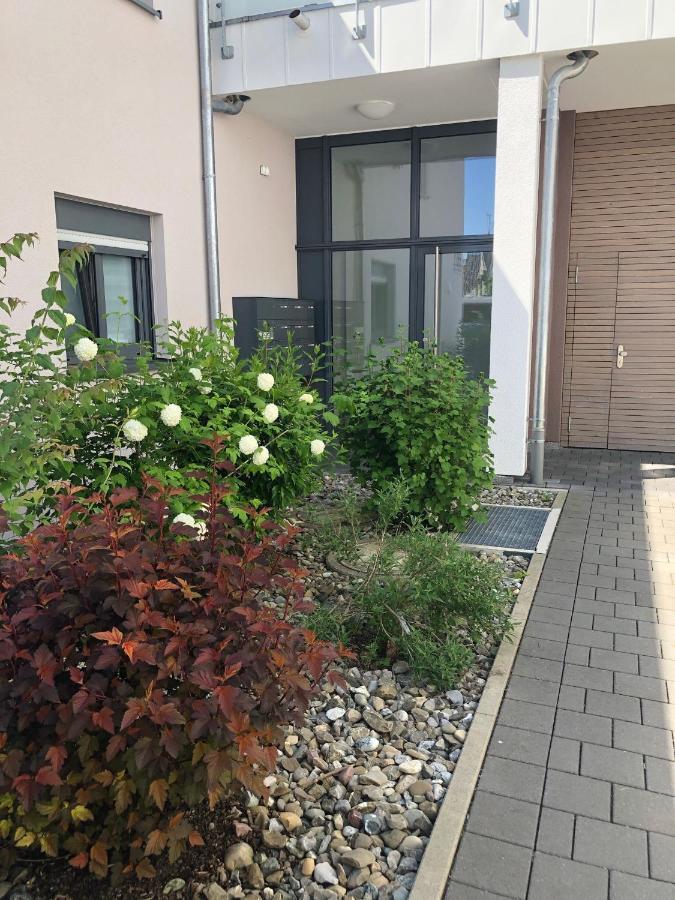 Seestern Apartment FDH 외부 사진